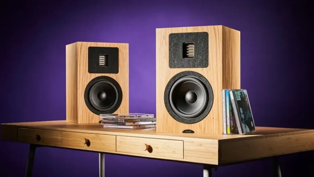 Speaker Bunyi Sebelah