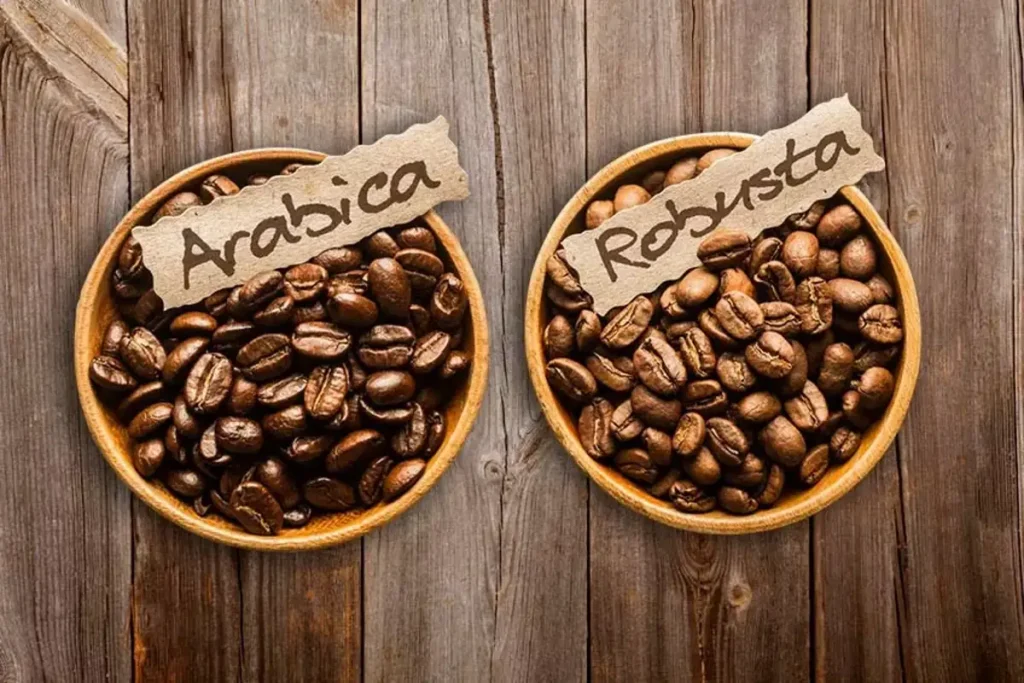 jenis biji kopi