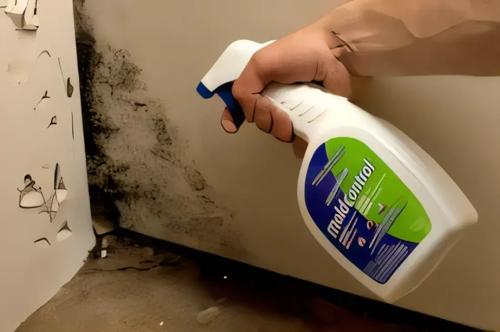 Concrobium Mold Control