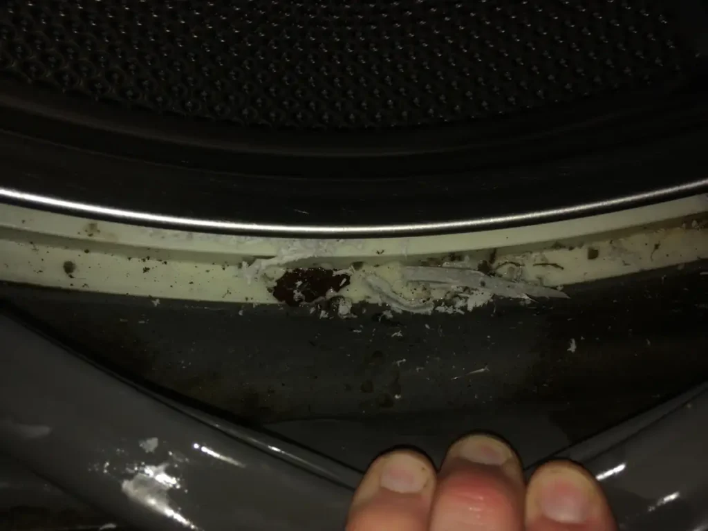 Mold Issues in Front Load Washers